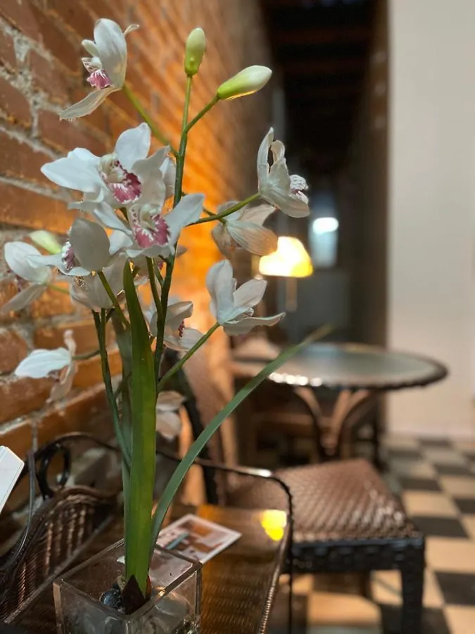 Boutique Hotel Belgica Ponce